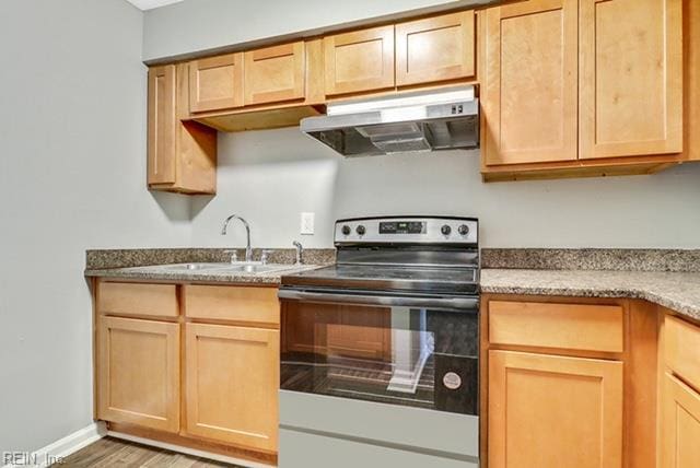1342 W 39th St, Norfolk, VA 23508 - kitchen with stainless steel electric range, under cabinet range hood, light brown cabinetry, and light wood-style flooring
