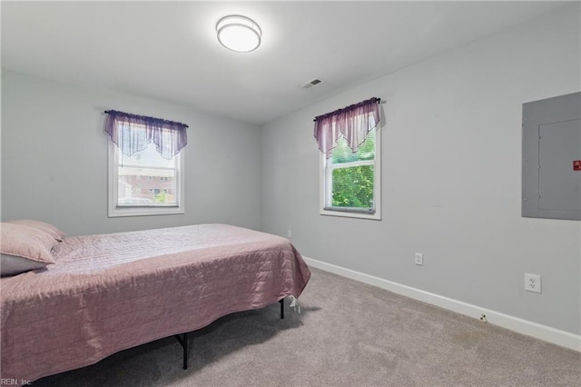 611 74th St, Newport News, VA 23605 - bedroom with electric panel, baseboards, and carpet