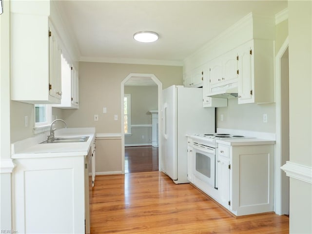 400 Fernwood Farms Rd, Chesapeake, VA 23320 - kitchen featuring a sink, white appliances, under cabinet range hood, light wood-style floors, and crown molding