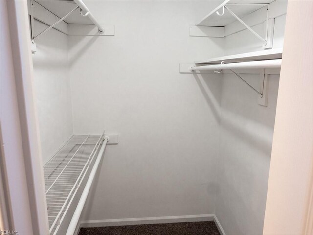 400 Fernwood Farms Rd, Chesapeake, VA 23320 - view of spacious closet