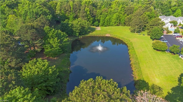 606 Queens Xing, Williamsburg, VA 23185 - bird's eye view of a nearby body of water and a heavily wooded area
