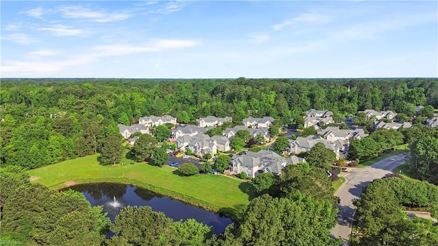606 Queens Xing, Williamsburg, VA 23185 - aerial view of property's location featuring a forest, a large body of water, and nearby suburban area
