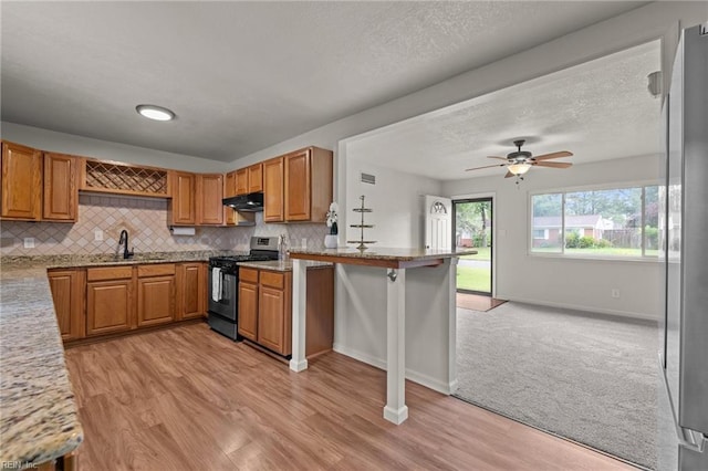 3521 Melinda Pl, Virginia Beach, VA 23452 - kitchen featuring stainless steel appliances, a sink, under cabinet range hood, tasteful backsplash, and brown cabinetry