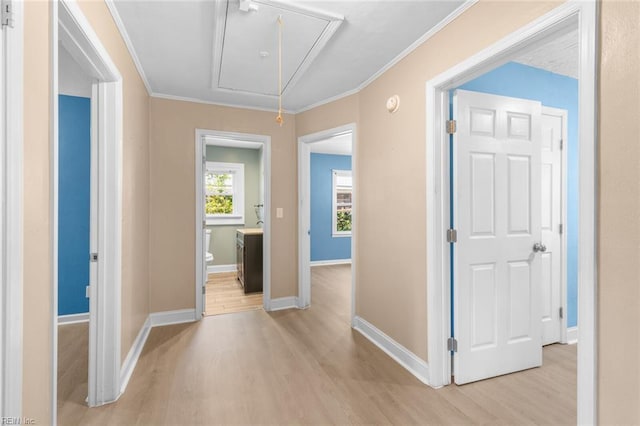 1204 Elder Ave, Chesapeake, VA 23325 - hallway with attic access, light wood-style flooring, crown molding, and baseboards