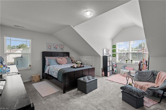 2011 River Pearl Way, Chesapeake, VA 23321 - carpeted bedroom with lofted ceiling and a textured ceiling