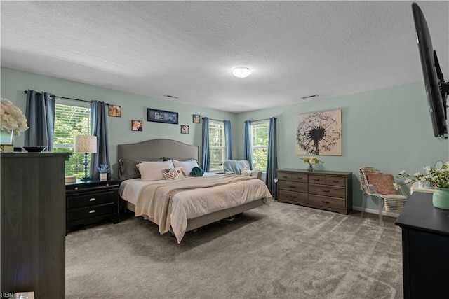 2011 River Pearl Way, Chesapeake, VA 23321 - carpeted bedroom featuring multiple windows and a textured ceiling