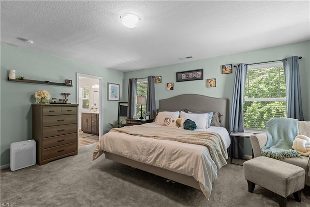 2011 River Pearl Way, Chesapeake, VA 23321 - bedroom with light carpet, a textured ceiling, and connected bathroom