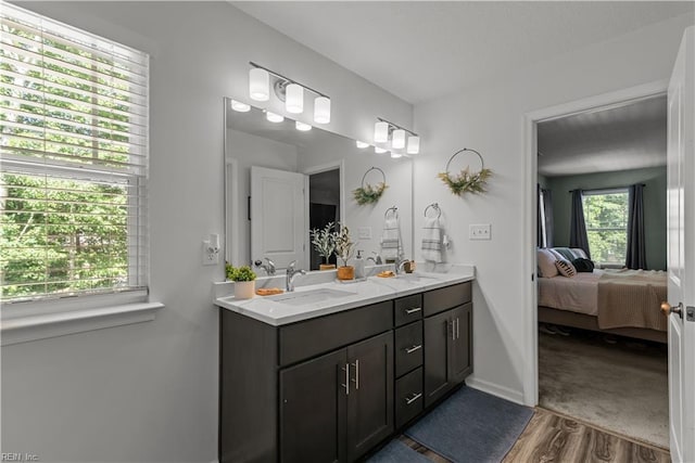 2011 River Pearl Way, Chesapeake, VA 23321 - full bath with wood finished floors, double vanity, ensuite bath, and baseboards