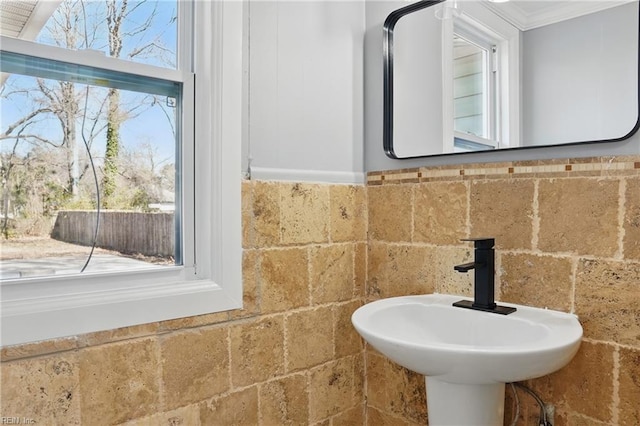 6428 Hudson Ave, Norfolk, VA 23502 - bathroom featuring healthy amount of natural light, ornamental molding, and a sink