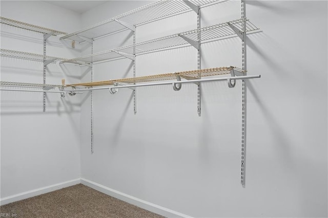 6428 Hudson Ave, Norfolk, VA 23502 - spacious closet featuring carpet flooring