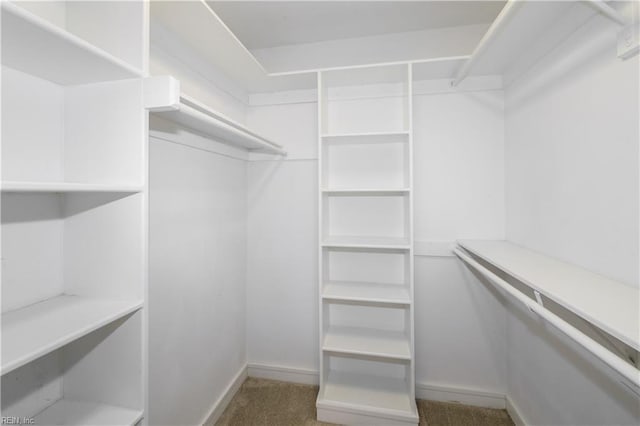 1301 Hawaiian Dr, Virginia Beach, VA 23451 - walk in closet with carpet flooring
