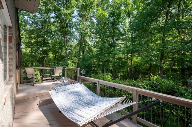 1301 Hawaiian Dr, Virginia Beach, VA 23451 - view of deck