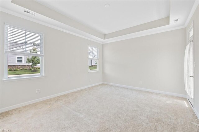 1400 Acadian Dr Unit A, Suffolk, VA 23434 - empty room featuring a tray ceiling, light colored carpet, baseboards, and crown molding