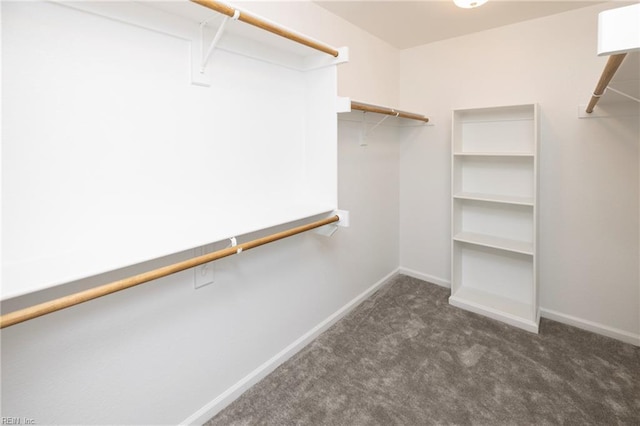 102 Corcoran Ln, Suffolk, VA 23434 - walk in closet featuring carpet flooring