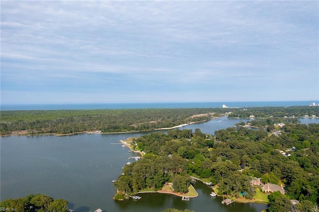 1825 N Alanton Dr, Virginia Beach, VA 23454 - bird's eye view of a heavily wooded area and a nearby body of water