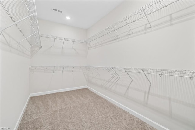 151 Highland Pony Dr, Hertford, NC 27944 - walk in closet with carpet floors