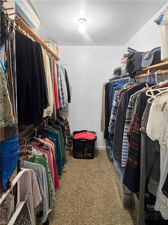 585 Morse Point Rd, Port Haywood, VA 23138 - walk in closet with carpet