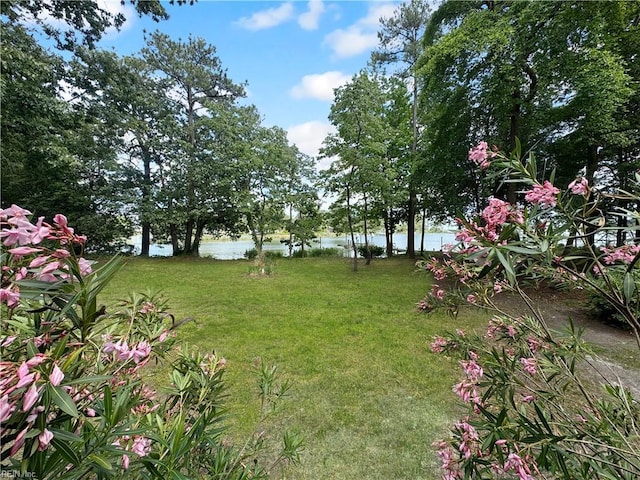 585 Morse Point Rd, Port Haywood, VA 23138 - view of grassy yard with a water view