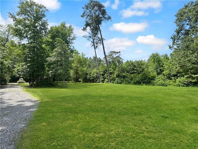 585 Morse Point Rd, Port Haywood, VA 23138 - view of green lawn