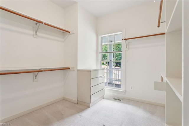 133 Sugar Bush, Williamsburg, VA 23188 - walk in closet with carpet flooring