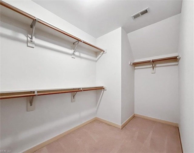 133 Sugar Bush, Williamsburg, VA 23188 - walk in closet with carpet