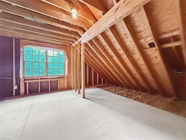 133 Sugar Bush, Williamsburg, VA 23188 - view of unfinished attic