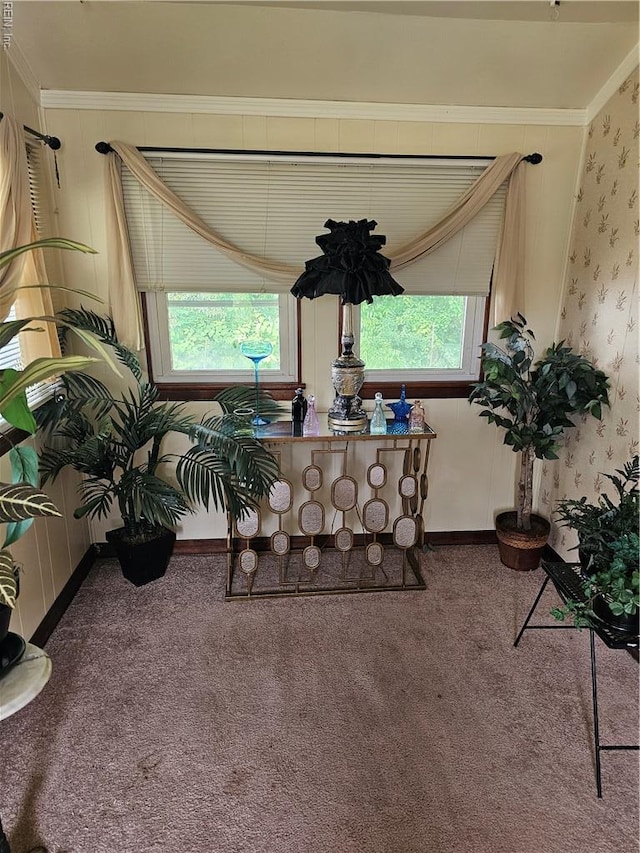 1428 24th St, Newport News, VA 23607 - sitting room featuring carpet, ornamental molding, wallpapered walls, and baseboards