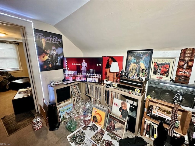 3860 Nansemond Cir, Norfolk, VA 23513 - living area featuring carpet and vaulted ceiling
