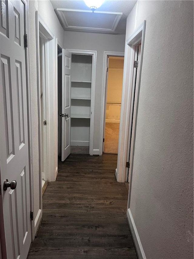 11 Greenwood Rd, Newport News, VA 23601 - hallway with dark wood finished floors, baseboards, a textured wall, and attic access