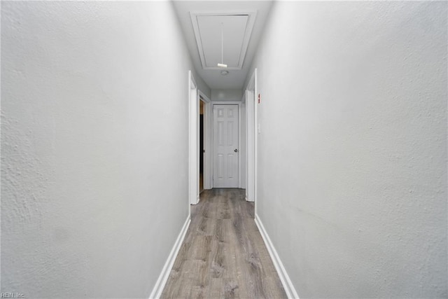 6628 Glenoak Dr, Norfolk, VA 23513 - hallway featuring attic access, wood finished floors, and baseboards