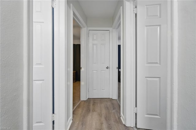 6628 Glenoak Dr, Norfolk, VA 23513 - hallway featuring wood finished floors