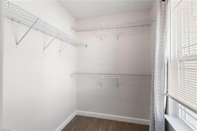 23 Mallory Way, Hampton, VA 23664 - walk in closet featuring carpet flooring