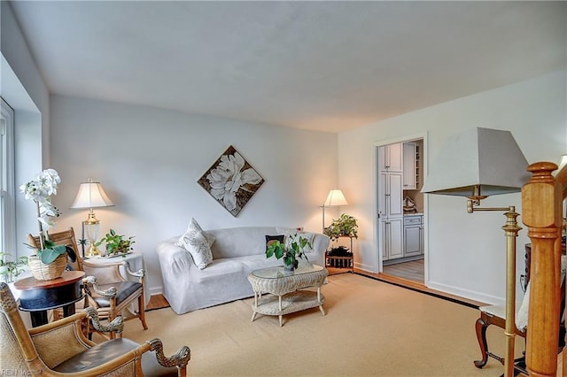 1052 Sunnyside Dr, Virginia Beach, VA 23464 - living room with baseboards and light wood-style floors