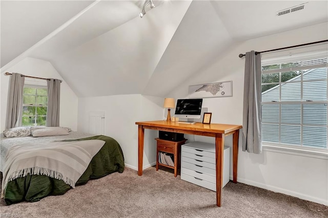 2305 Shorebird Ct, Chesapeake, VA 23323 - bedroom featuring carpet floors, vaulted ceiling, and baseboards