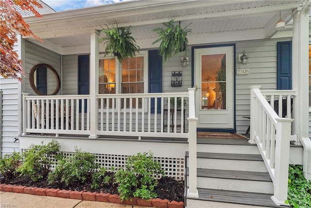 2305 Shorebird Ct, Chesapeake, VA 23323 - view of exterior entry with covered porch