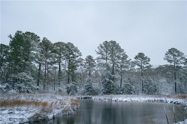 2305 Shorebird Ct, Chesapeake, VA 23323 - water view featuring a heavily wooded area