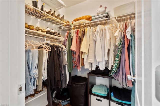 433 Fall Ridge Ln, Chesapeake, VA 23322 - view of walk in closet