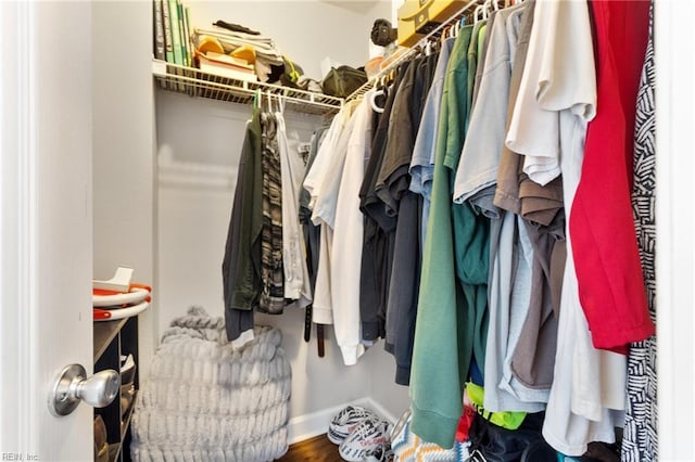 433 Fall Ridge Ln, Chesapeake, VA 23322 - view of spacious closet