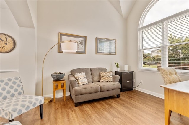 433 Fall Ridge Ln, Chesapeake, VA 23322 - living area featuring light wood-style floors, baseboards, and vaulted ceiling