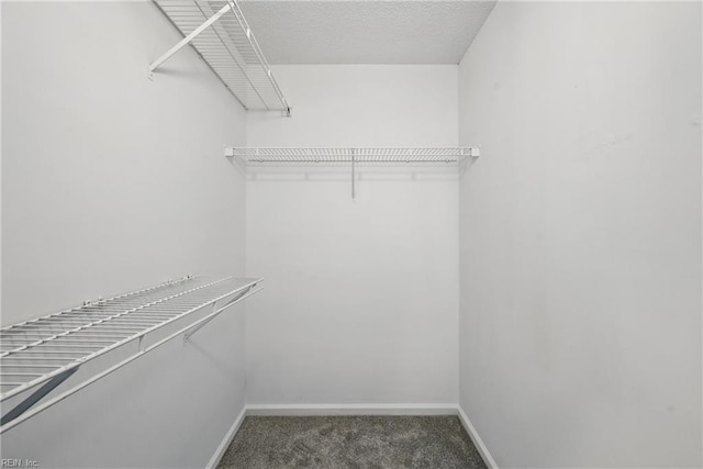 1518 River Creek Cres, Suffolk, VA 23434 - spacious closet with carpet flooring