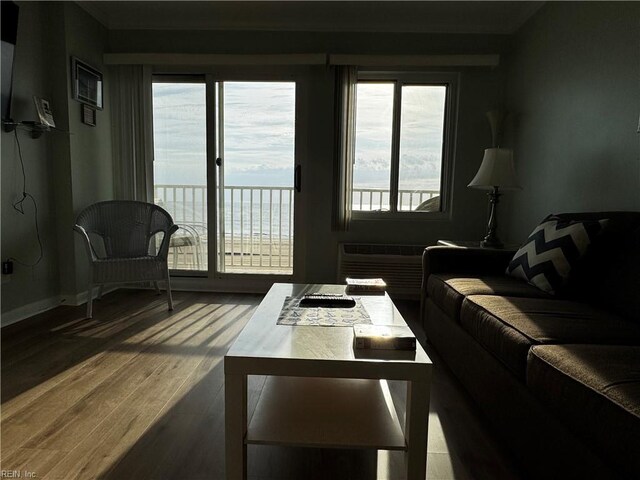 303 Atlantic Ave Unit 404, Virginia Beach, VA 23451 - living room featuring wood finished floors, baseboards, and a water view