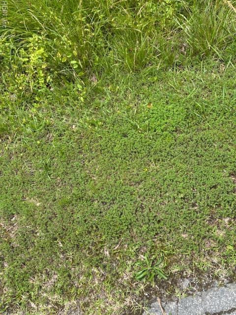 LOT1 Branch Bridge St, Branchville, VA 23828