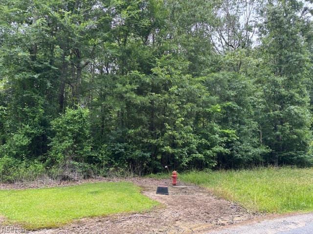 LOT4 Branch Bridge St, Branchville, VA 23828
