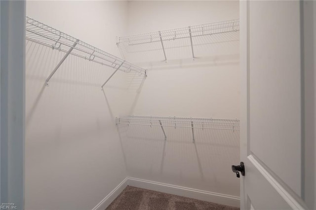 88 Alexandria Way, Carrollton, VA 23314 - walk in closet featuring carpet flooring