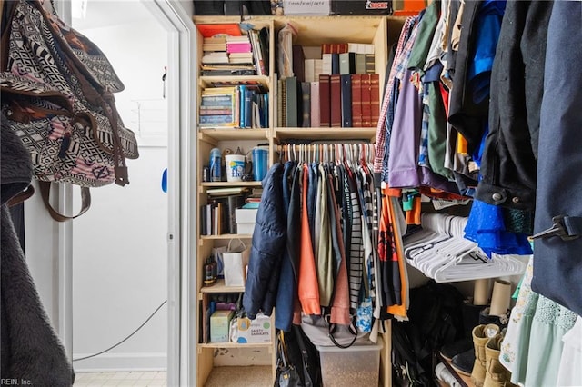 441 Cummings Rd, Virginia Beach, VA 23452 - view of spacious closet
