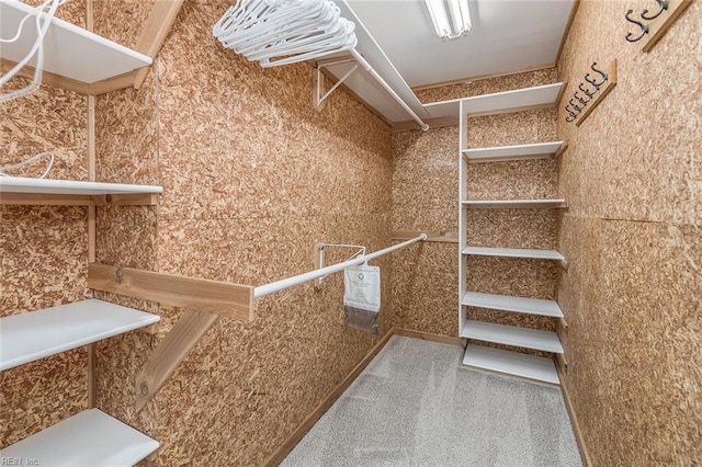 940 Blackwater Rd, Chesapeake, VA 23322 - view of walk in closet