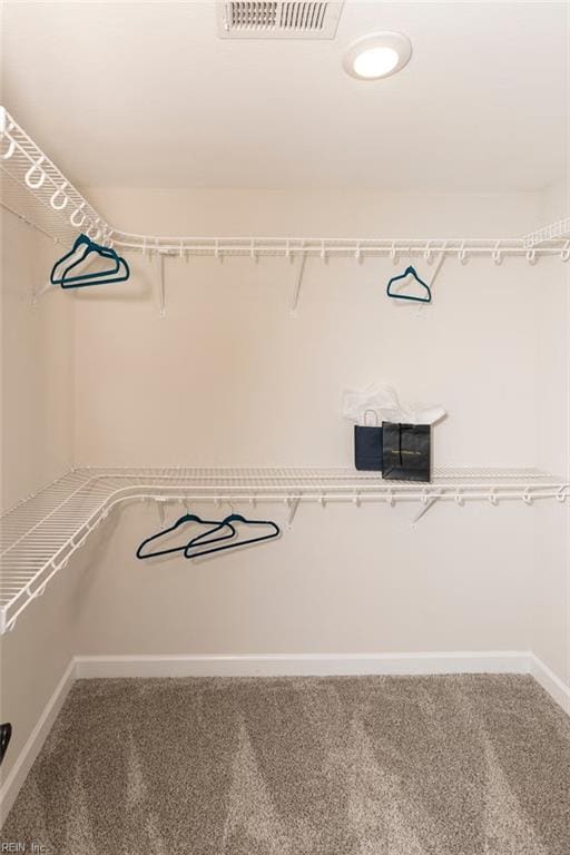 137 Preserve Way, Suffolk, VA 23434 - walk in closet with carpet floors