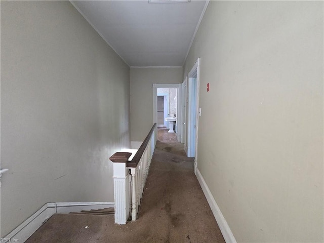 3222 Verdun Ave, Norfolk, VA 23509 - hall featuring concrete flooring, baseboards, and ornamental molding