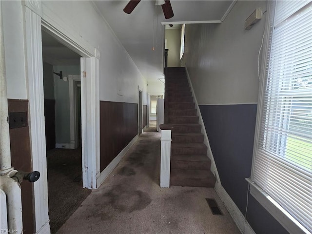 3222 Verdun Ave, Norfolk, VA 23509 - staircase with ceiling fan, a wainscoted wall, carpet flooring, and baseboards