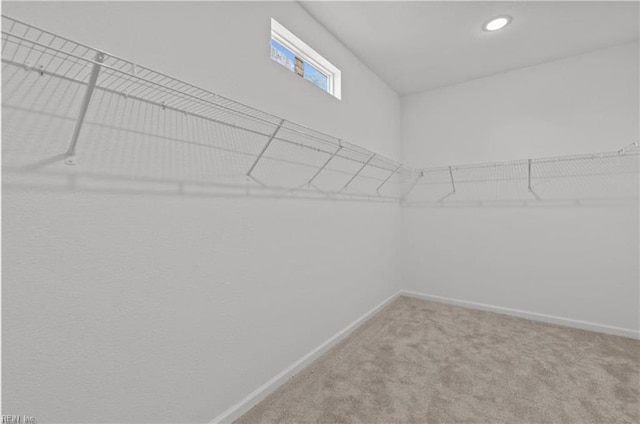 1608 Holland Ave, Norfolk, VA 23509 - spacious closet featuring carpet floors